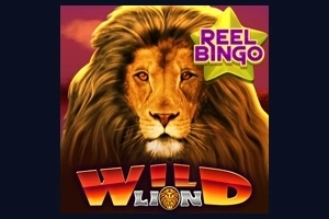 19063 wild lion with reel bingo