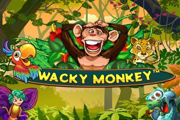 22682 wacky monkey